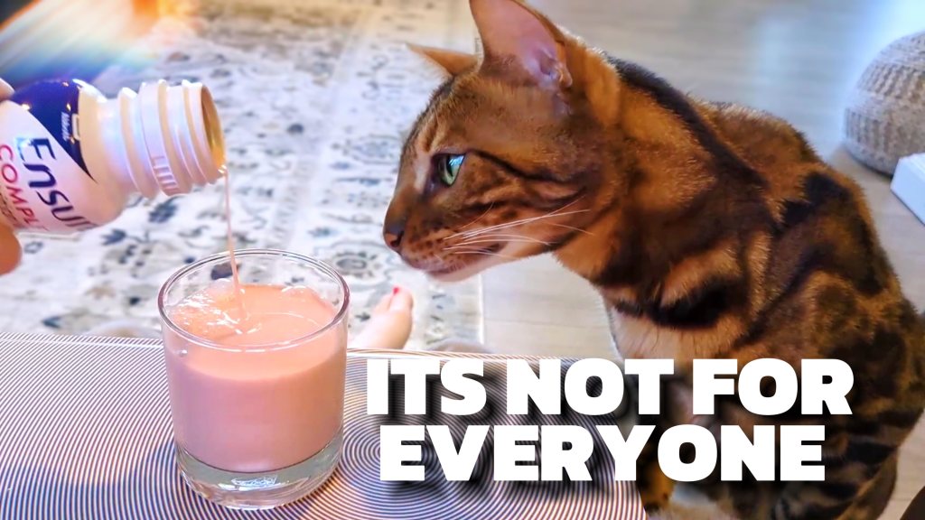 Jess reviewing Ensure COMPLETE Strawberry shake
