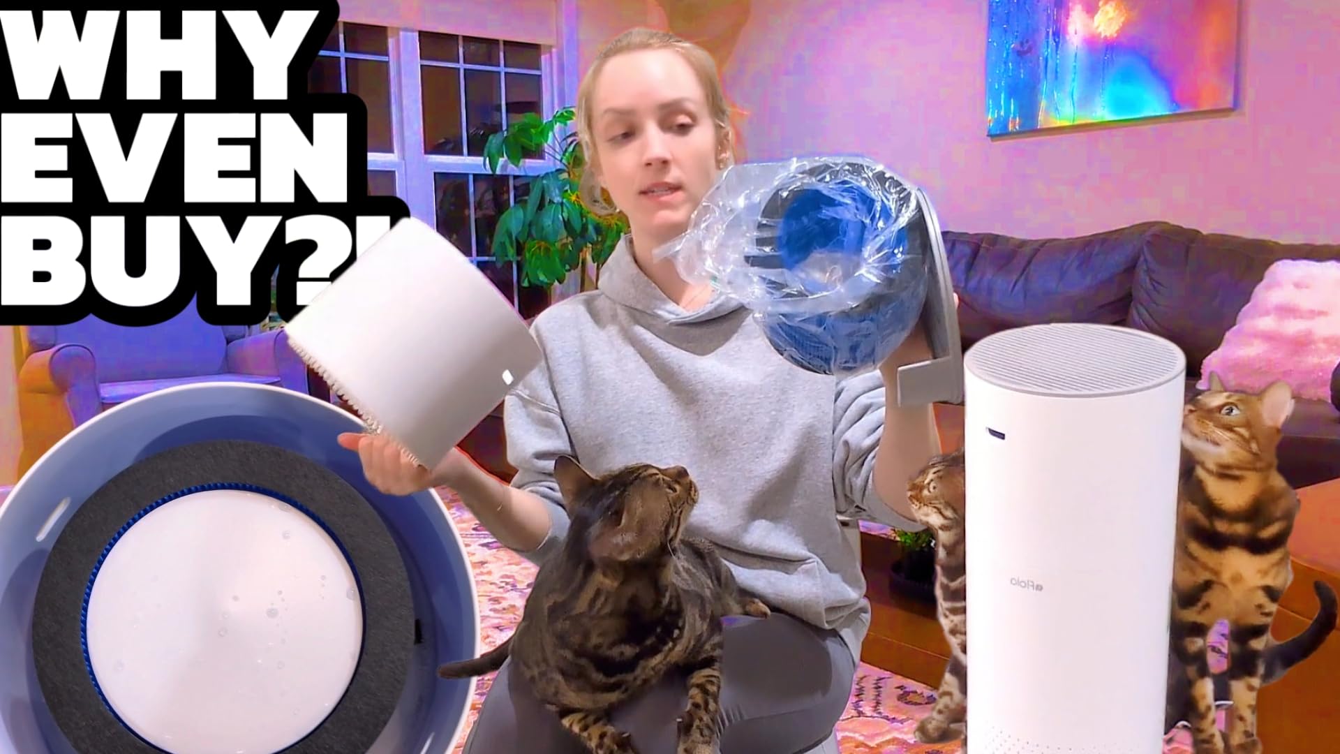 Afloia 2-in-1 Humidifier in my video